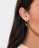 SHASHI SHASHI Mia French Hook Earrings Gold One - 3