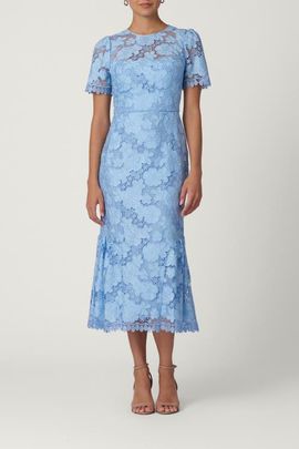 green emerald velvet dress Maggy London Women's Dresses Floral Embroidered Halter Neck Midi Dress with  Back V-Neck, Blue/Green/Yellow, 0 at Amazon Women's Clothing store main image 0