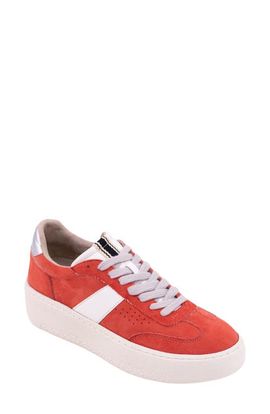SHUSHOP SHUSHOP Stacey Platform Sneaker