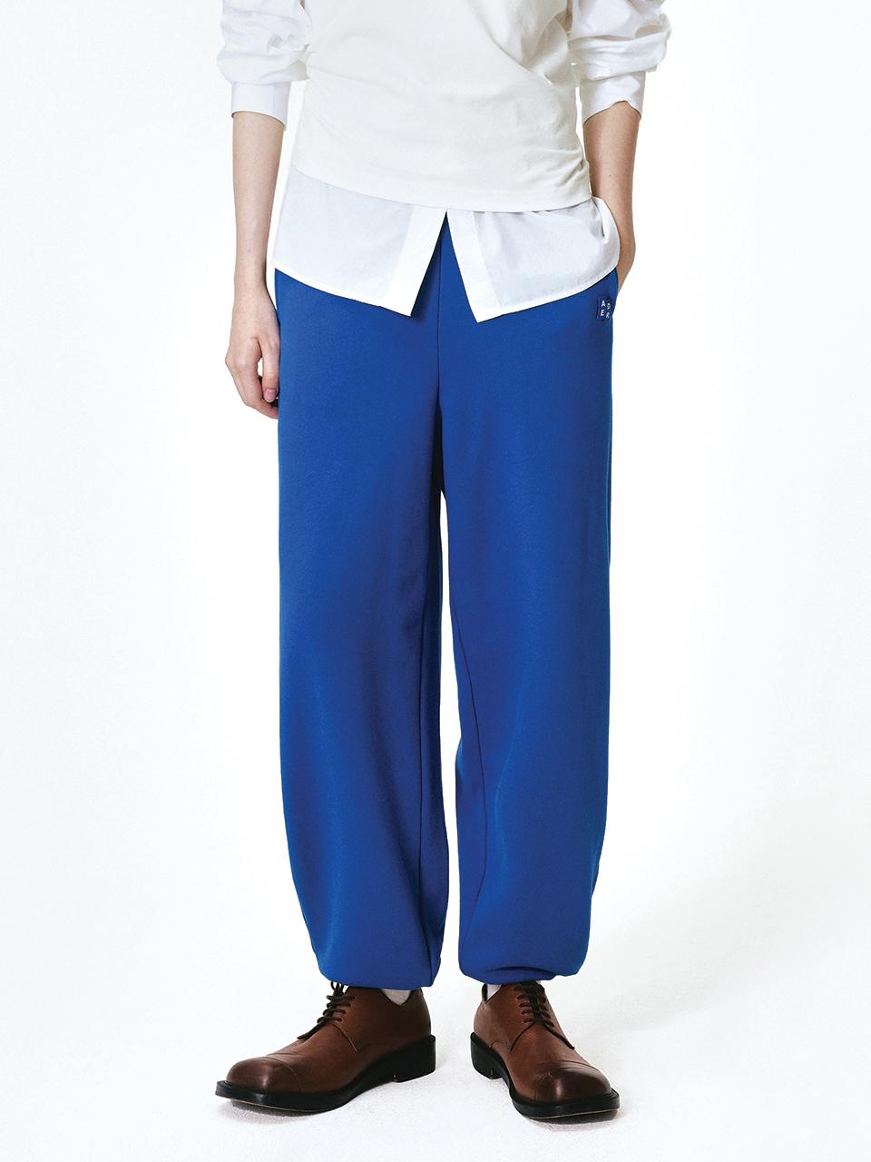 Significant ADERERROR Sig Blouse Tag 01 Sweatpants [Z-Blue]