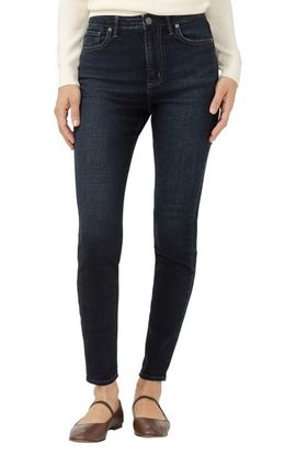 Silver Jeans Co. Silver Jeans Co. Isbister High Waist Skinny Jeans