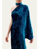 Silvia Tcherassi Anya Mock-Neck Asymmetric Velvet Burnout Maxi Dress - 4