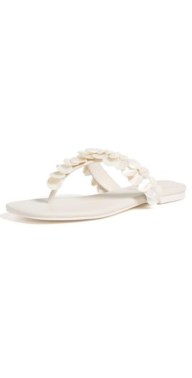 SIMKHAI SIMKHAI Elin Natural Shell Thong Sandals Alabaster