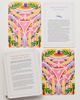 Simon & Schuster Spells for Success Deck and Guidebook - 2