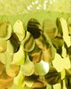 SIMONMILLER SIMONMILLER Imogen Sequin Midi Dress Peridot Combo - 6