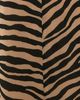 SIMONMILLER SIMONMILLER Marion Chiffon Dress Tiger Stripe - 6