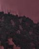 SIR. SIR. Noria Silk Midi Skirt Dark Plum - 6