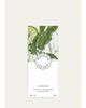 Sisley Paris Campagne Exfoliating Hand Wash, 11.8 oz. - 4
