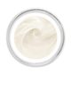 Sisley Paris Sisley Paris Sisleya L'Integral Anti-Age Extra-Rich Cream - 2