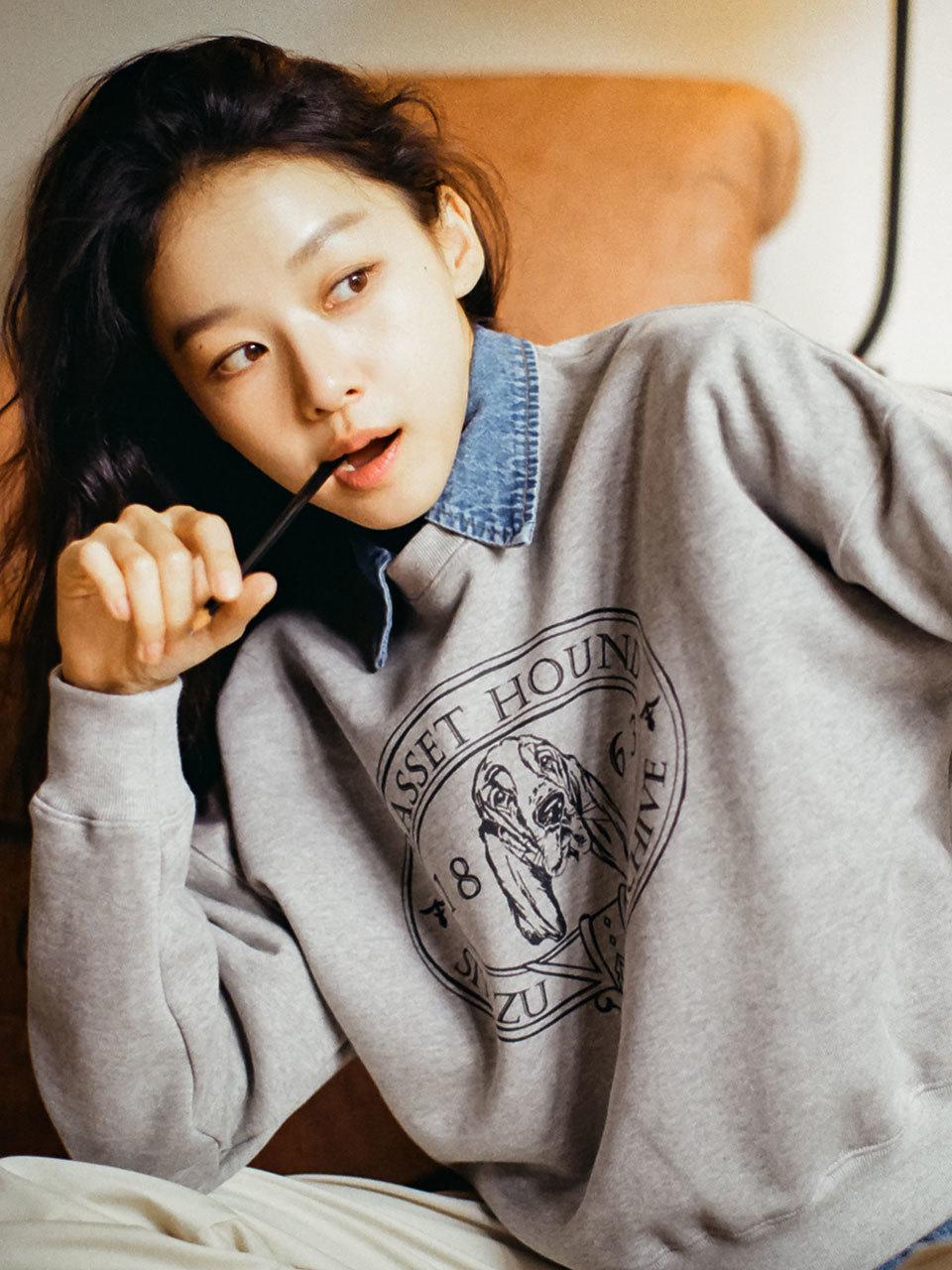 Siyazu SITP5072 Basset Hound Sweatshirt_Melange Gray