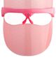 Skin Gym Skin Gym Wrinklit Led Mask - 1