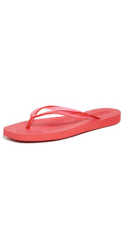 SLEEPERS SLEEPERS Tapered Transparent Flip Flops Red Transparent