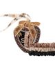 slip slip Thea Pure Silk Skinny Scrunchie Set  - 1
