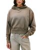 Slvrlake Slvrlake Cropped Ombre Hoodie - 2