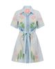 SMWR. By The Somewhere Co SMWR. By The Somewhere Co Swan Lake Mini Shirt Dress - 1