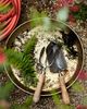 Sneeboer Trowel & Fork Gift Set - 2