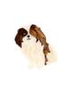 Solar Eclipse Solar Eclipse Hand-Painted Shih Tzu Pup Claw Hair Clip - 1