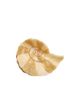 Solar Eclipse Solar Eclipse Hand-painted Spiral Shell Claw Hair Clip - 1