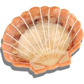 Solar Eclipse Solar Eclipse Sunset Seashell Hair Claw Clip