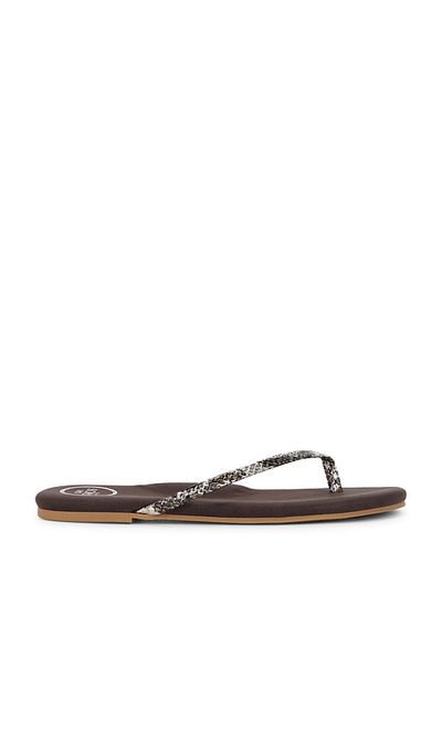 Solei Sea Solei Sea Indie Copa Sandal