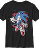 Sonic the Hedgehog Sonic the Hedgehog Boys' Stars and Stripes Pose Graphic Short Sleeve T-Shirt - 1