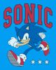 Sonic the Hedgehog Sonic the Hedgehog Boys' Three Stars Running Graphic Short Sleeve T-Shirt - 2