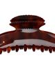 Sophie Buhai Sophie Buhai Brown Fan Shell Claw Clip - 1