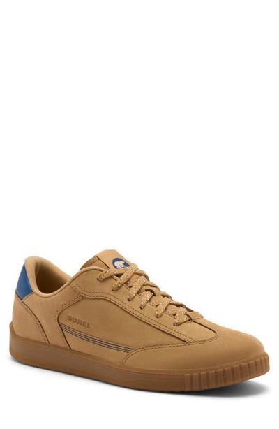 SOREL SOREL Ona Drift LX Leather Sneaker