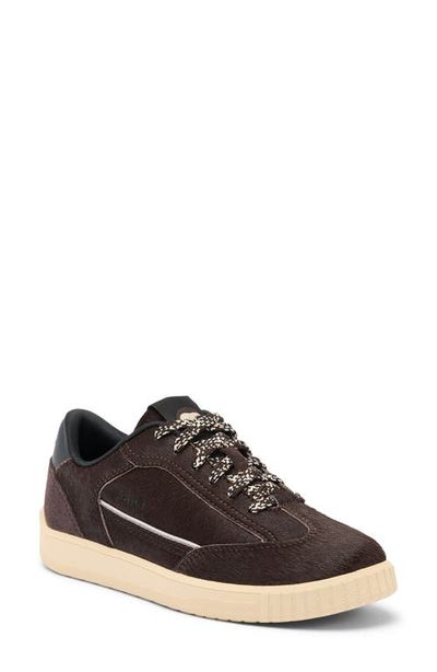 SOREL SOREL Ona Drift Mod Leather Sneaker