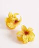 South Beach South Beach pack of 3 flower claw clips in amber yellow - 3