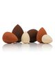 SPECTRUM SPECTRUM Pantherine Pro 6-Piece Blending Sponge Set - 1