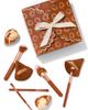 SPECTRUM SPECTRUM Pumpkin Spice 9-Piece Makeup Brush & Sponge Set - 1