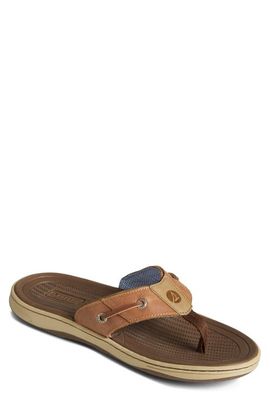 Sperry Sperry Baitfish Flip Flop