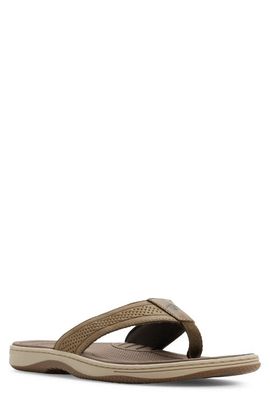 Sperry Sperry Havasu Thong Sandal