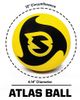 Spikeball Spikeball Atlas Balls 2 Pack, 4.14 - 2