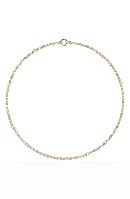 Spinelli Kilcollin Spinelli Kilcollin Gravity Chain Necklace