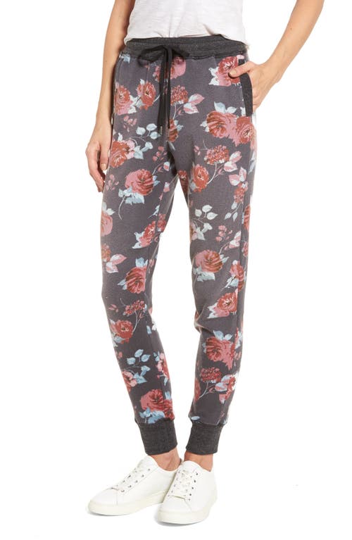 Splendid Splendid Chelsea Rose Print Jogger Pants