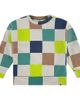 Stains and Stories by Babyface Stains and Stories by Babyface Multi-Color Check Sweatshirt - 1