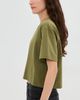 State & Lake State & Lake Dylan Tee Olive - 4