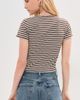 State & Lake State & Lake Payton Tee Powder & Brown Stripe - 3
