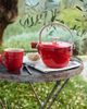 Staub Staub Cast Iron 1-qt Round Tea Kettle in Cherry at Urban Outfitters - 1