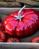 Staub Staub Cast Iron 3-qt Tomato Cocotte in Cherry at Urban Outfitters - 2
