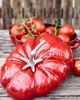 Staub Staub Cast Iron 3-qt Tomato Cocotte in Cherry at Urban Outfitters - 4