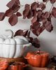 Staub STAUB Ceramic 24-oz Pumpkin Cocotte in Burnt Orange at Urban Outfitters - 2