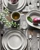 Staub Staub Ceramic Dinnerware 4-piece 6-inch Stoneware Appetizer Plate Set in White Truffle at Urban Outfitters - 3