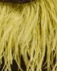 STAUD STAUD Winslow Shoulder Bag Espresso/Canary One - 5