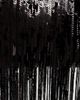 Stella McCartney Women's Falabella Sequined Fringe Bag - 6