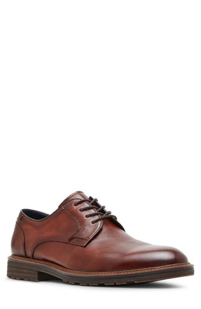 Steve Madden Steve Madden Aeden Derby