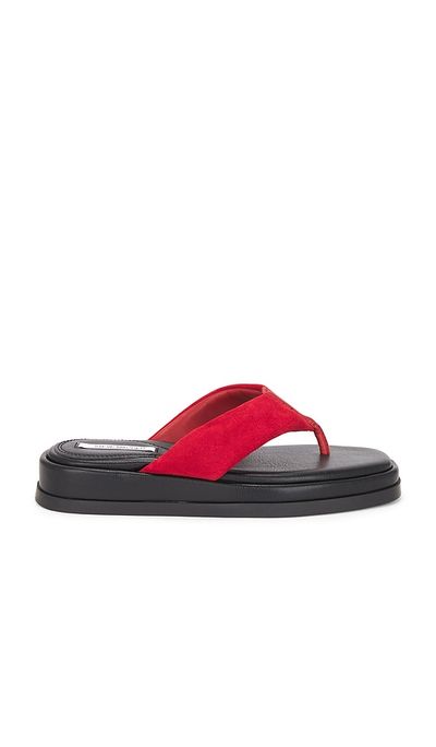 Steve Madden Steve Madden Bella Sandal