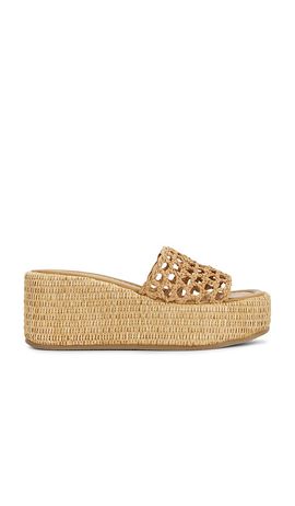 Steve Madden Steve Madden Brandy Sandal